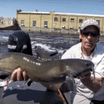 Early Season Catfish with Spinner Rigs