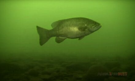 Spring Smallmouth Bass Location and Lure Preference