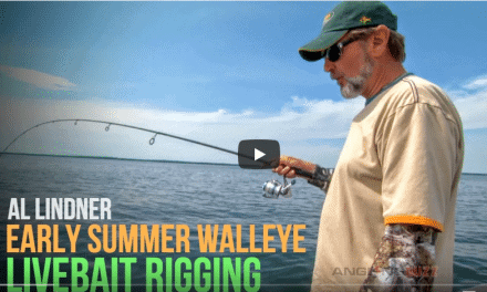 Walleye – Livebait Rigging for Early Summer Success