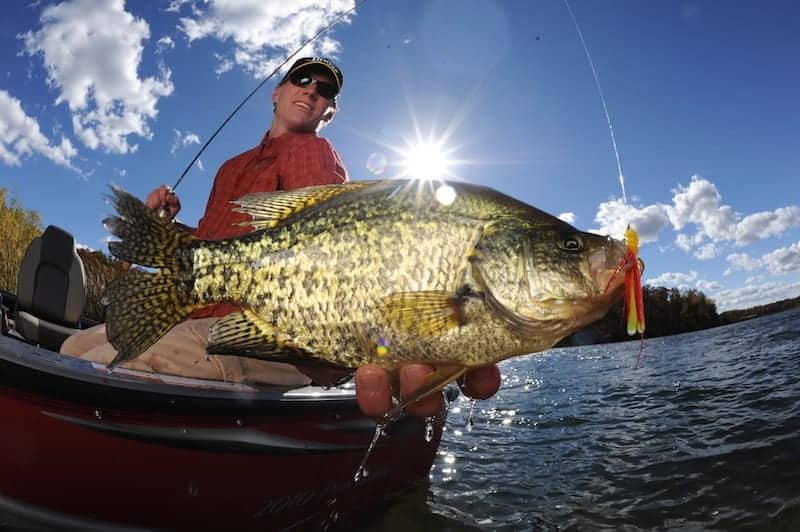 Countdown to Suspended Crappies in Summer