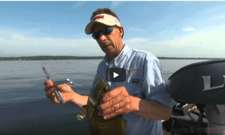 Topwater Tactics for Smallmouth Bass