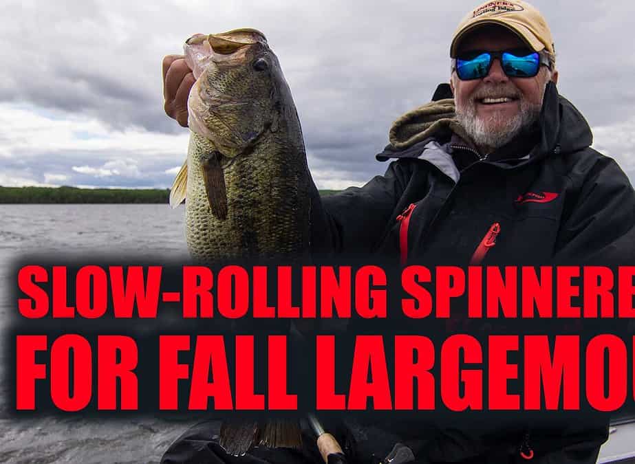 Slow-Rolling Spinnerbaits for Fall Largemouth Bass