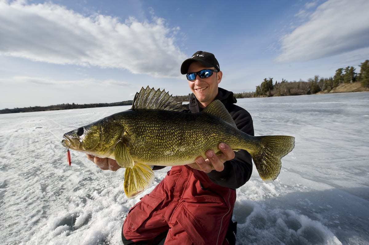 Early Ice Walleyes – Tips and Secrets