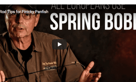 Spring Bobbers vs. Soft  Rod Tips for Finicky Panfish