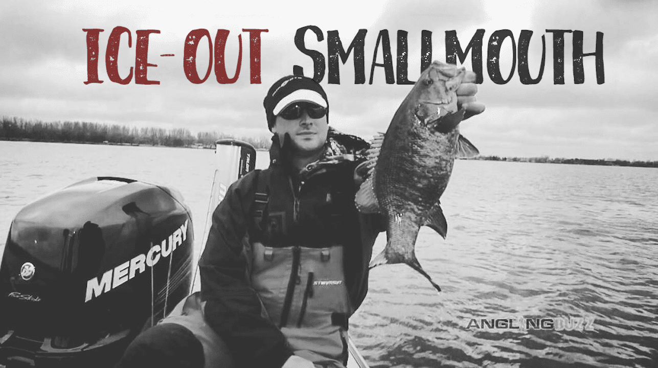 Smallmouth Bass Soon After Ice-Out