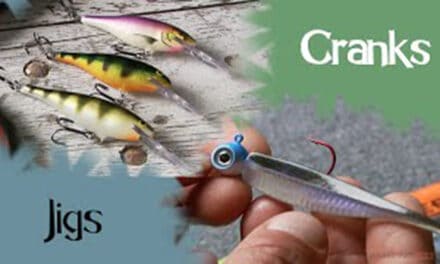 Crankbaits vs Jigs for Spring Walleyes