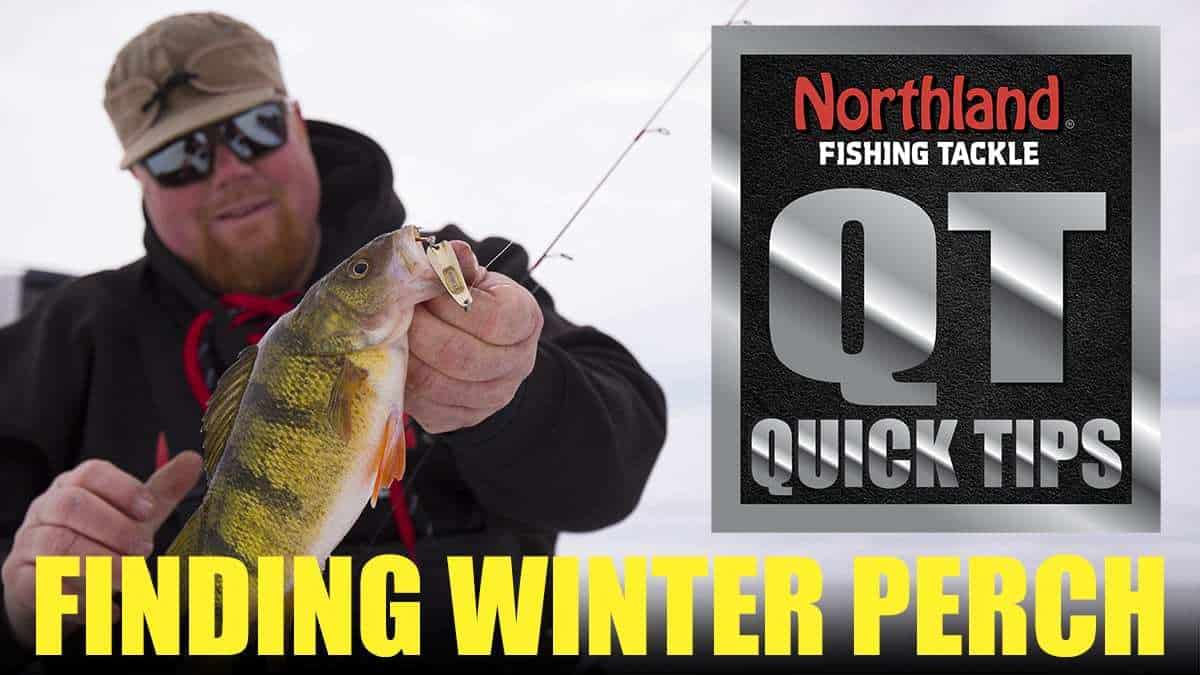 Strategies for Finding Wintertime Perch