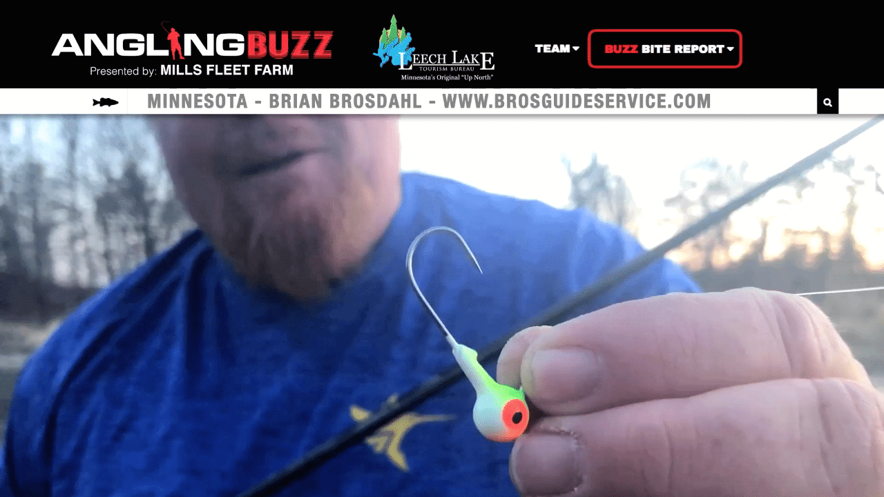 Leech Lake (MN) Fishing Report – Brian Brosdahl