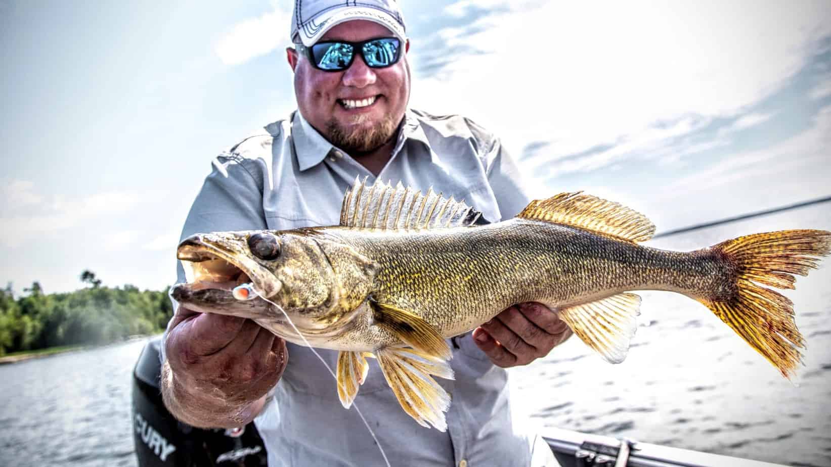 Best Time for Minnows (Summer Walleye Tips)
