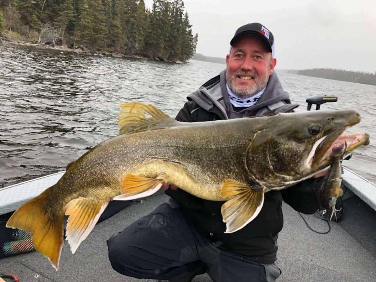 Fall Lake Trout in the Northern Manitoba