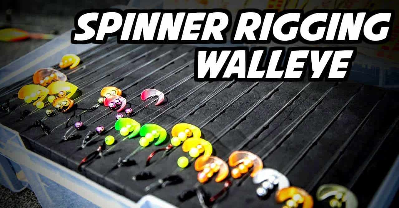 How to Spinner Rig for Walleye (Advanced Tips)