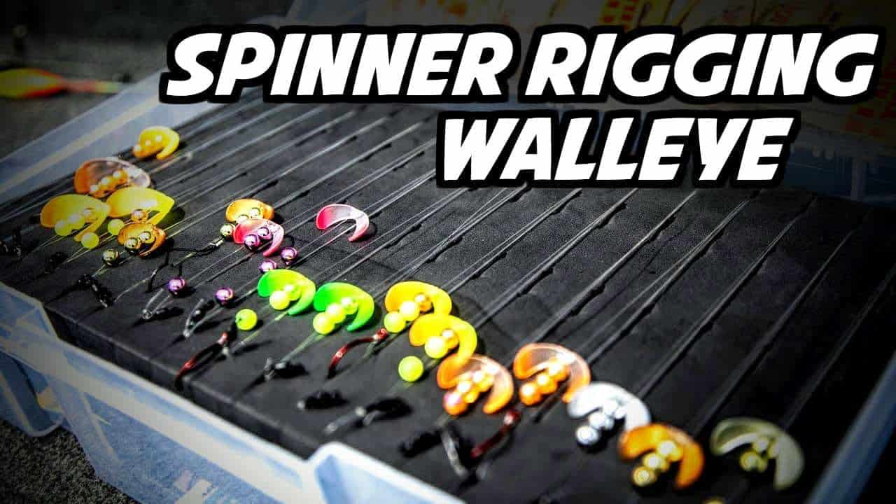 How to Spinner Rig for Walleye