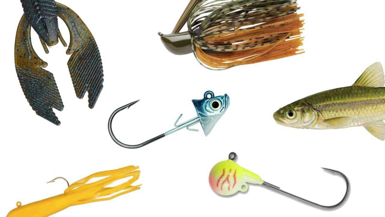 Jig Fishing Tips (3 Tips from 3 Pros)