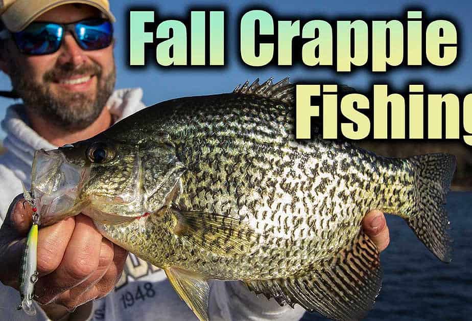Fall Crappie Fishing — Tips & Techniques