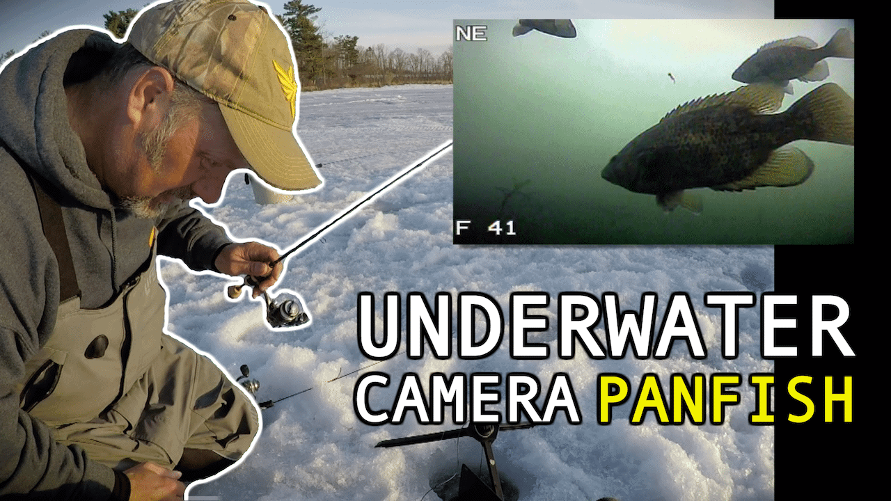 Ice Fishing Panfish with Wax Worms