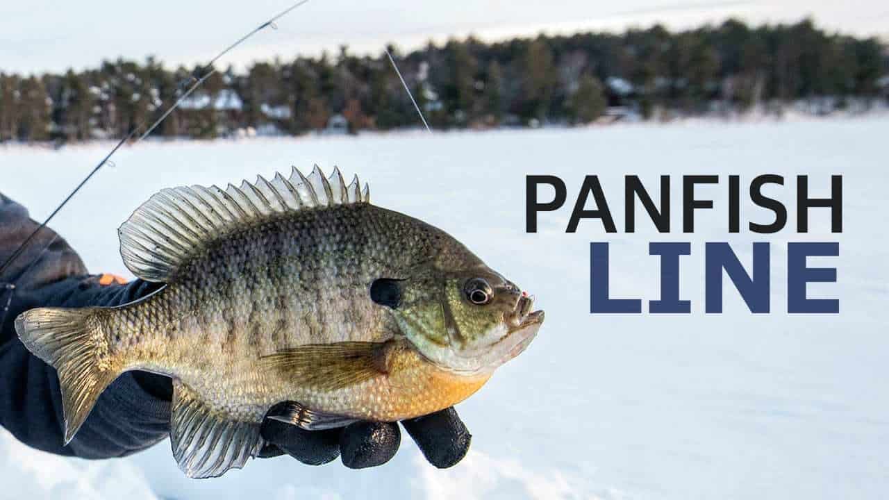 Panfish Line for Ice Fishing