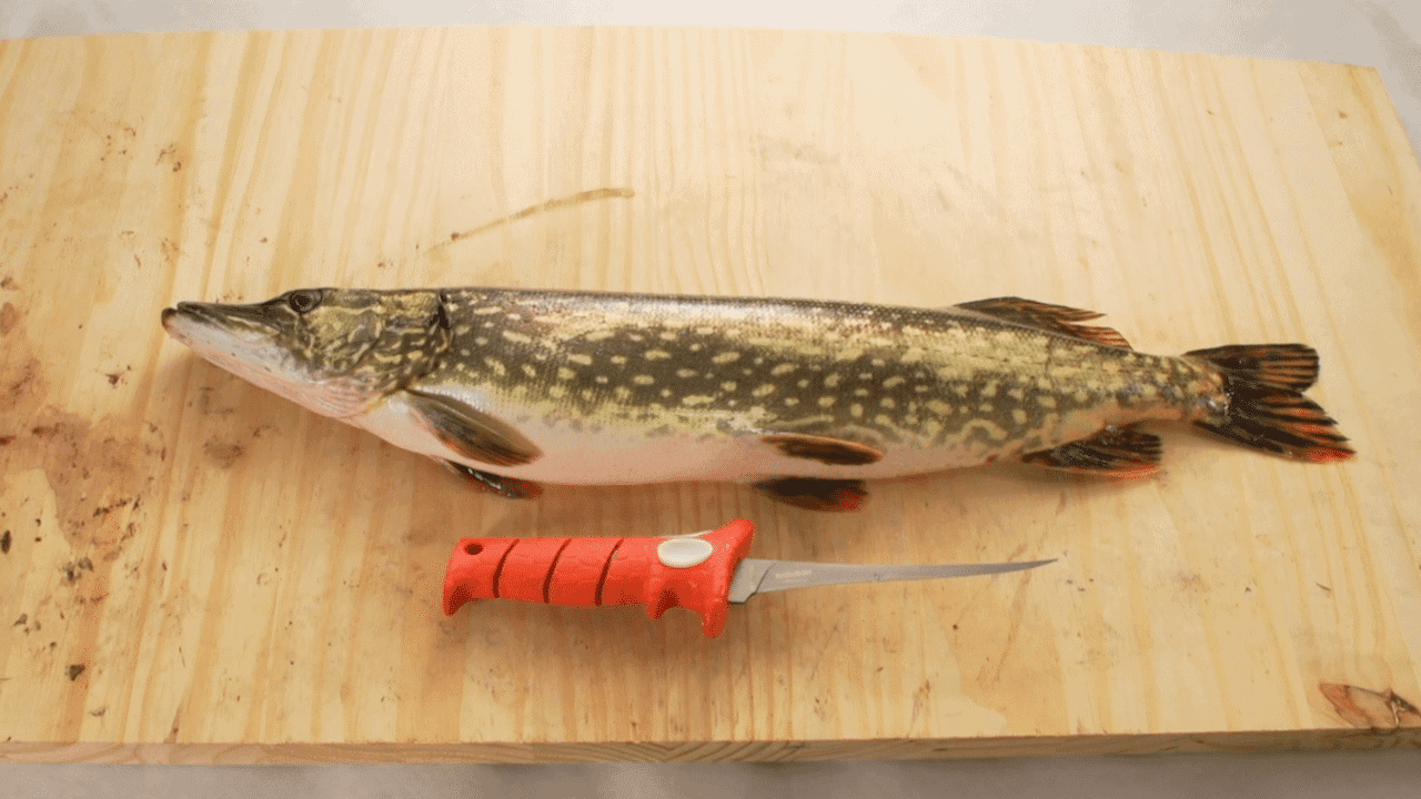Fillet Pike with NO BONES: Step-by-Step