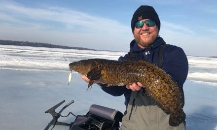 Burbot-Eelpout Tracking Study