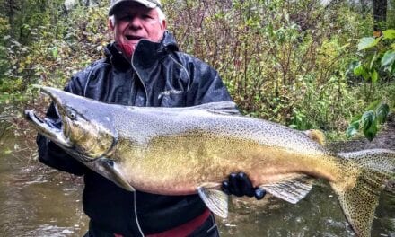 Michigan Salmon & Trout Fishing Options in Rivers