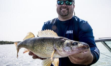Walleye Lures: When, Where and Why?