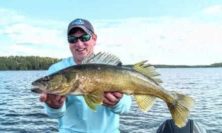 Walleye Search Baits and Gear for Summer Fishing