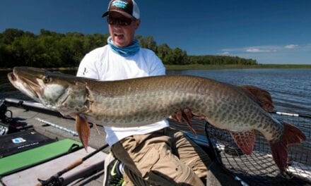 Leech Lake Musky Fishing Report for July