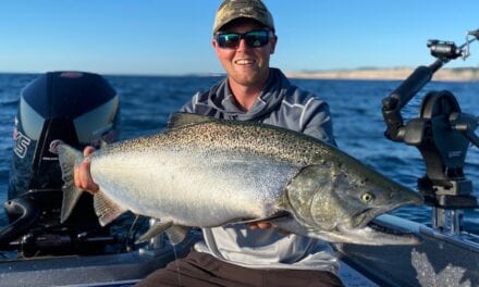 Lake Michigan King Salmon Report for Early August