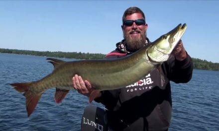 Lake Vermilion Summer Fishing Report for Walleye & Musky