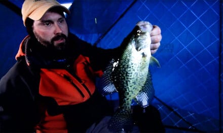When to Stay Put for Crappies