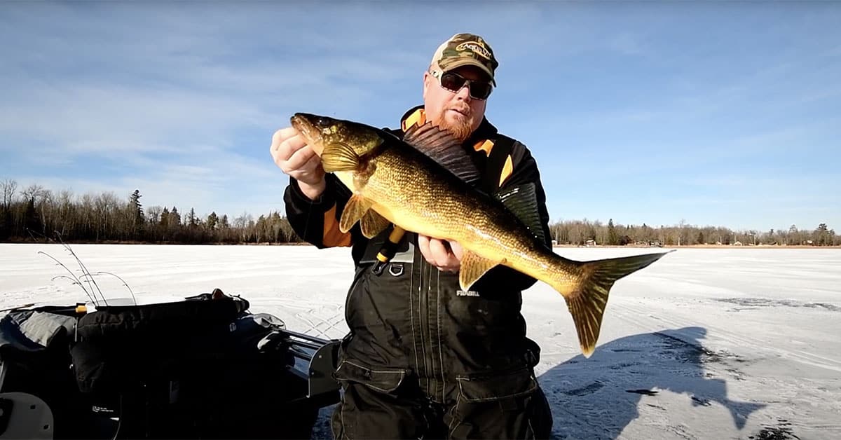 early ice walleyes