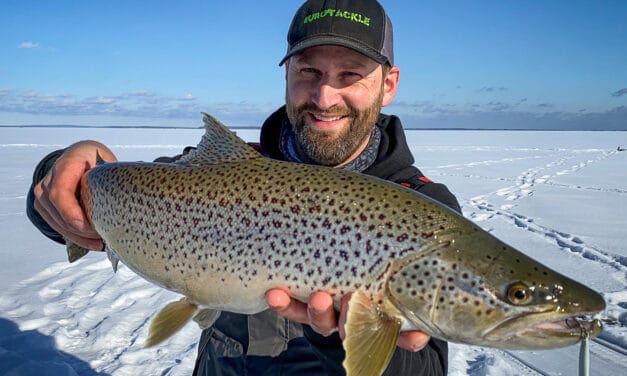 Lake Superior and Northern Wisconsin Buzz Bite Report 1-26-21