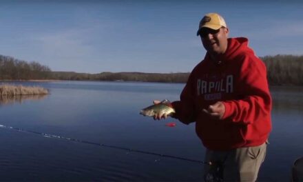 Sight Fishing for Spring Crappies