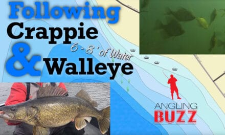 Following Spring Walleye and Crappie