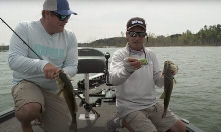 Crankbaits in Weeds for Bass