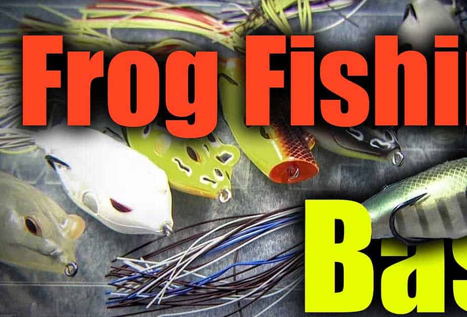 Frog Fishing Bass with Popping & Walking Frogs