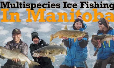 Multispecies in Manitoba Ice Fishing
