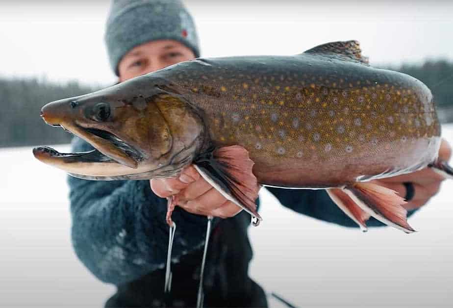 Incredible Ice Fishing in Manitoba’s Northern Region