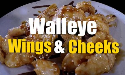 Walleye Wings and Cheeks