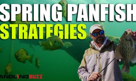 AnglingBuzz Show 1: Spring Panfish Strategies
