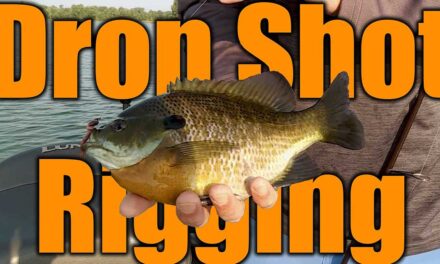 Drop Shot Rigging Panfish