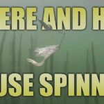 Where and How to Fish Spinners