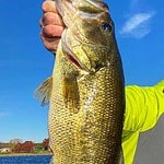 Metro Area Fishing Buzz Bite Report 10-18-2022